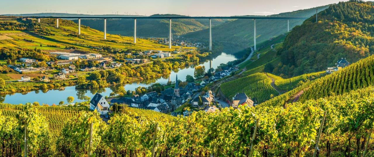 Ferienhaus Am Moselsteig Ürzig Kültér fotó
